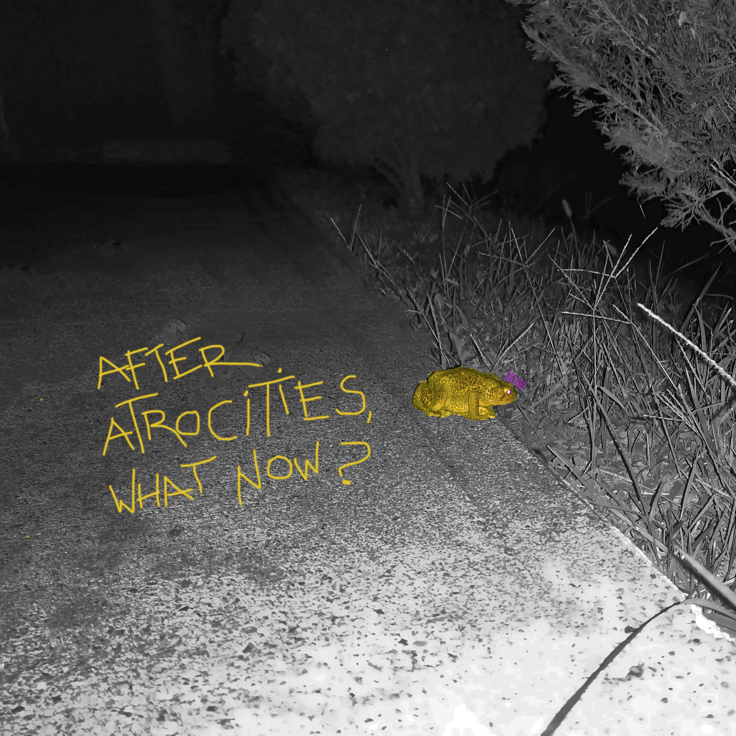 I love you, and I want you to be my bird.