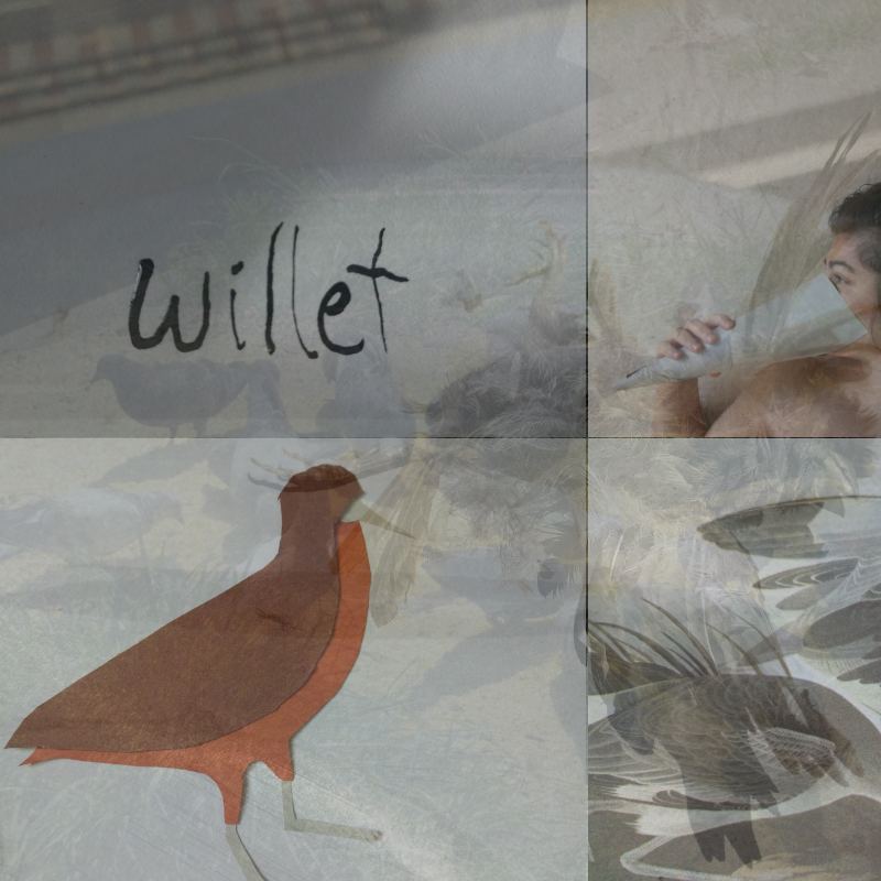 I love you, and I want you to be my bird.